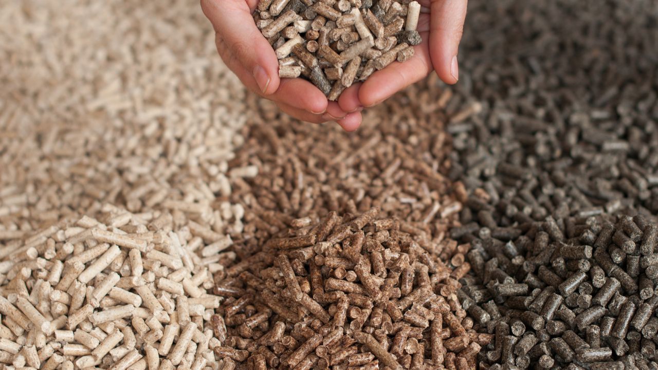 biomasa Protección contra Incendios